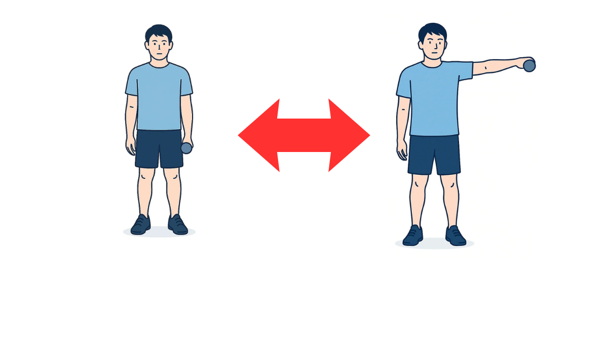ダンベルを使った肩関節外転運動のイラスト(文字なし)|ダンベルを持って肩を横に上げる運動(肩関節外転)です