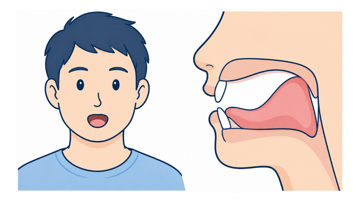 パタカラ体操「カ」のイラスト(文字なし)|舌の奥を上あごの奥に当て、「カ」と発音する口腔体操の図です