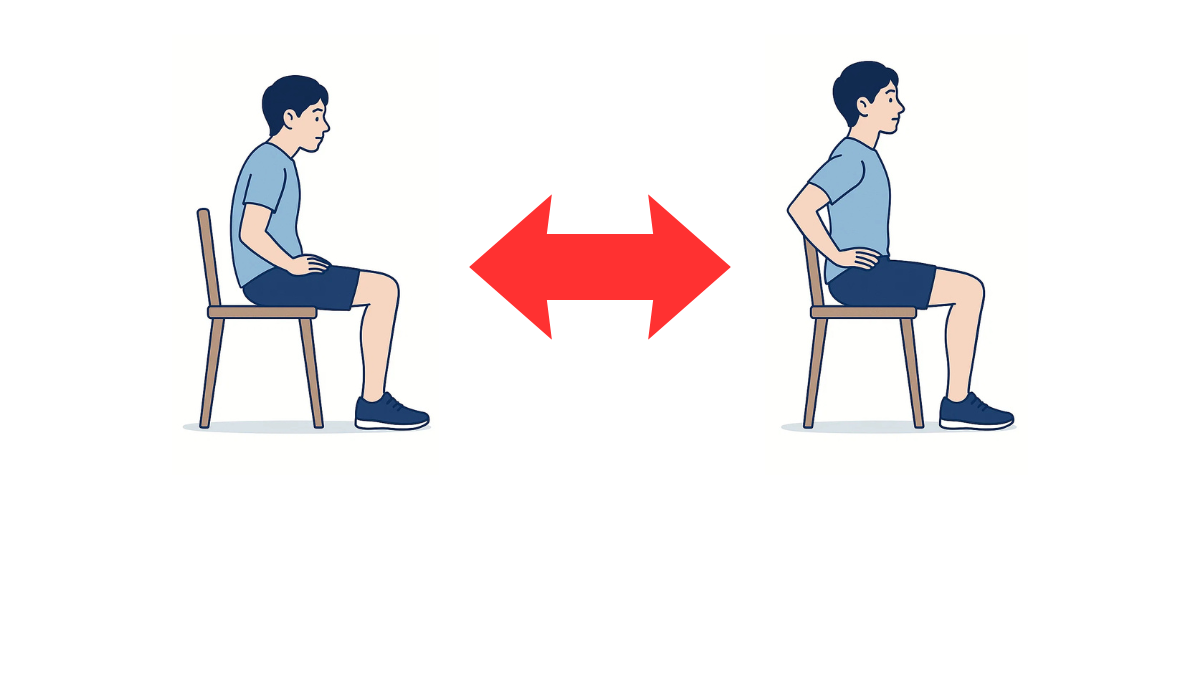 骨盤の前後傾のイラスト(文字なし)|骨盤を前傾・後傾させる運動です