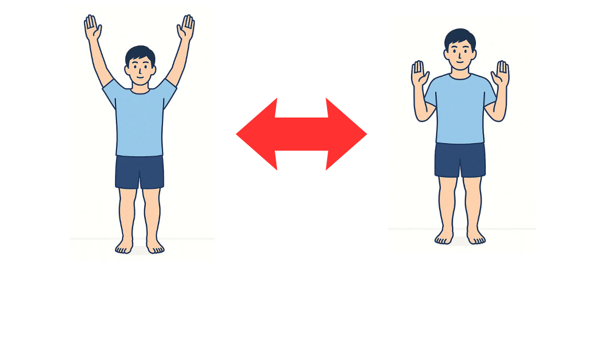 肩甲骨の内転運動のイラスト(文字なし)|肩甲骨を内側に寄せる(内転させる)運動です