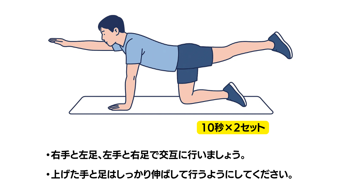 ダイアゴナルのイラスト(説明文つき)|四つん這いの姿勢で対角線上の手足(右手と左脚など)を同時に伸ばすバランス運動です
