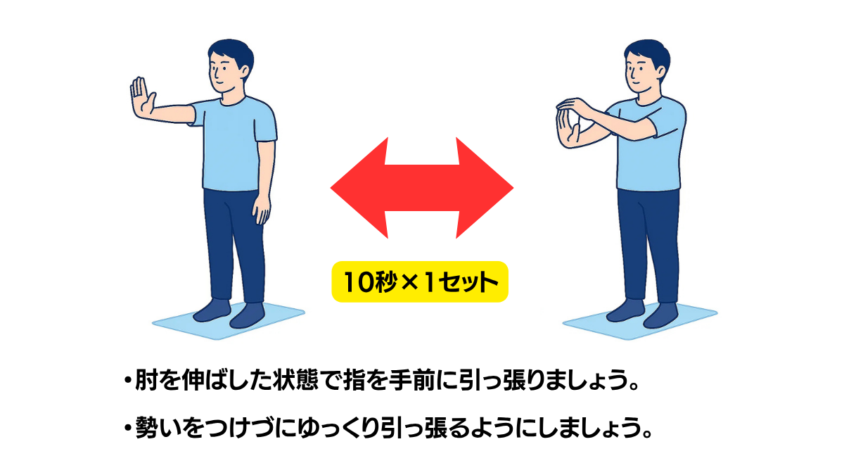 前腕のストレッチのイラスト(説明文つき)|前腕の屈筋群・伸筋群をストレッチする運動です