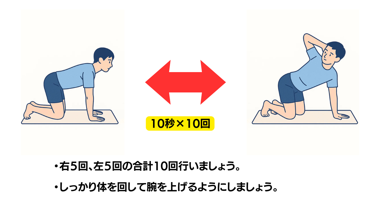 四つん這いで体幹の回旋のイラスト(説明文つき)|四つん這いの姿勢で体幹を回旋させる運動です