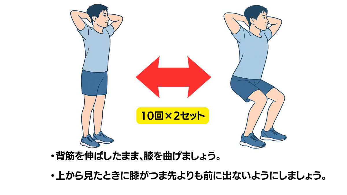 スクワットのイラスト(説明文つき)|スクワットは下肢の総合的な筋力強化運動の代表です