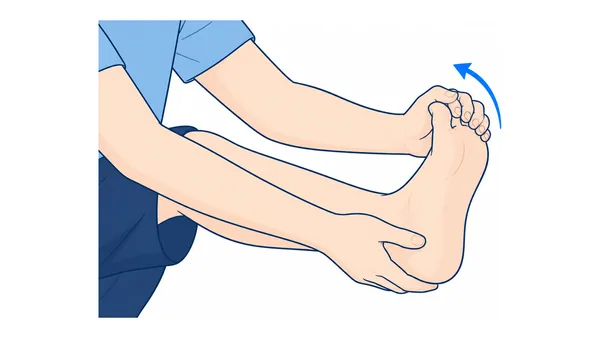 足の指を反らせる足底のストレッチのイラスト(文字なし)|足の指を手で持ち、甲側へゆっくり反らせるストレッチのイラストです