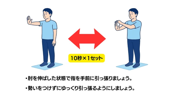 前腕のストレッチのイラスト(説明文つき)|前腕の屈筋群・伸筋群をストレッチする運動です