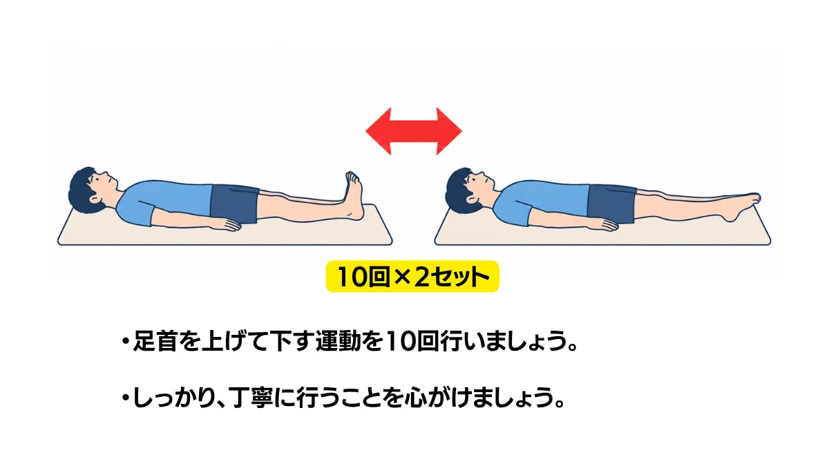 自主トレ素材庫Plusに収録されている「足首の底背屈運動」の実物スライド