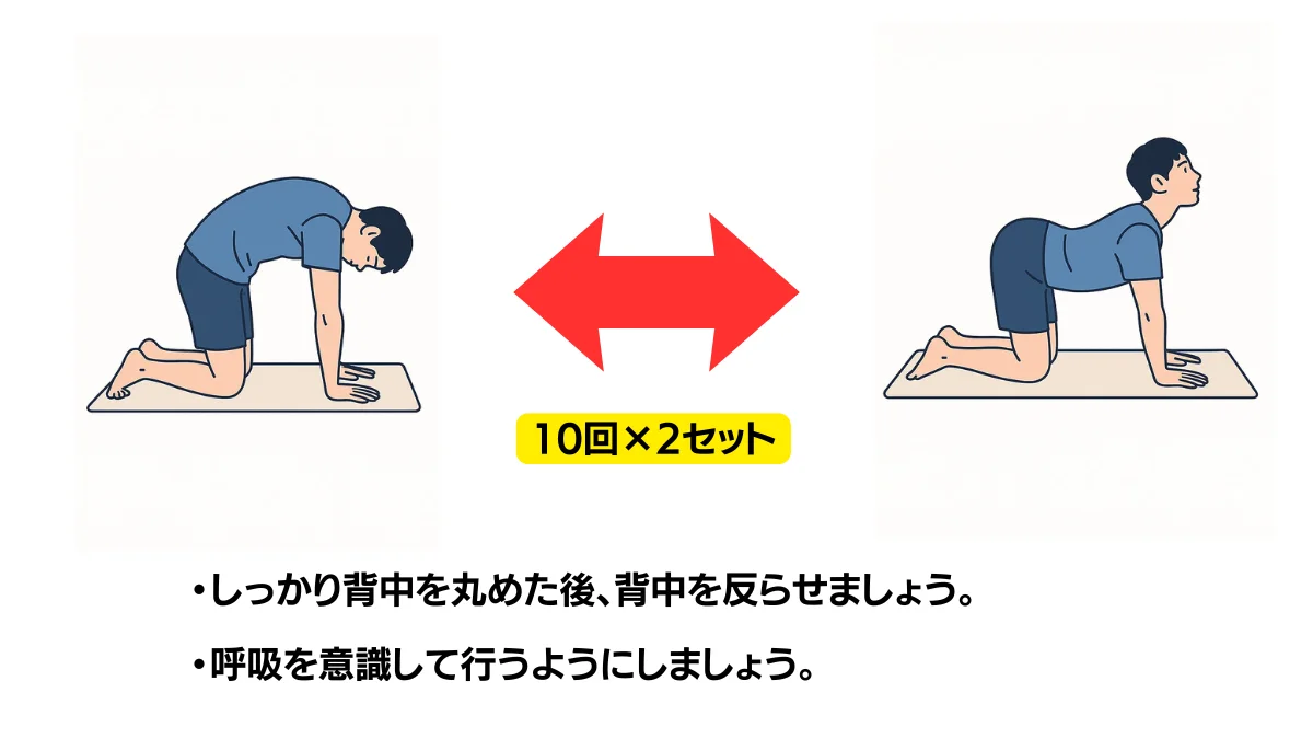 自主トレ素材庫Plusに収録されている「キャットアンドドッグ」の実物スライド