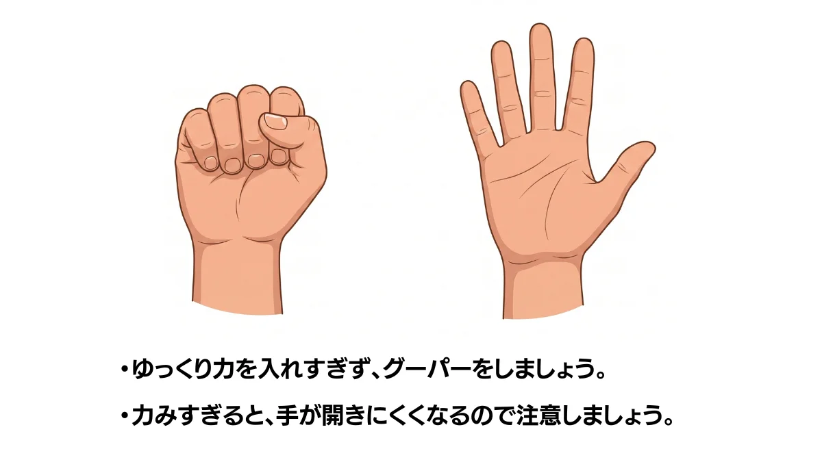 自主トレ素材庫Plusに収録されている「グーとパー（右手）」の実物スライド