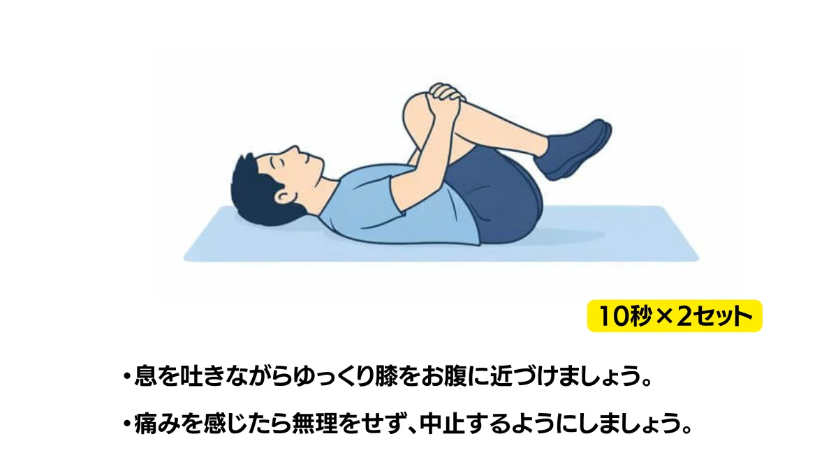 自主トレ素材庫Plusに収録されている「膝抱え（両膝）」の実物スライド