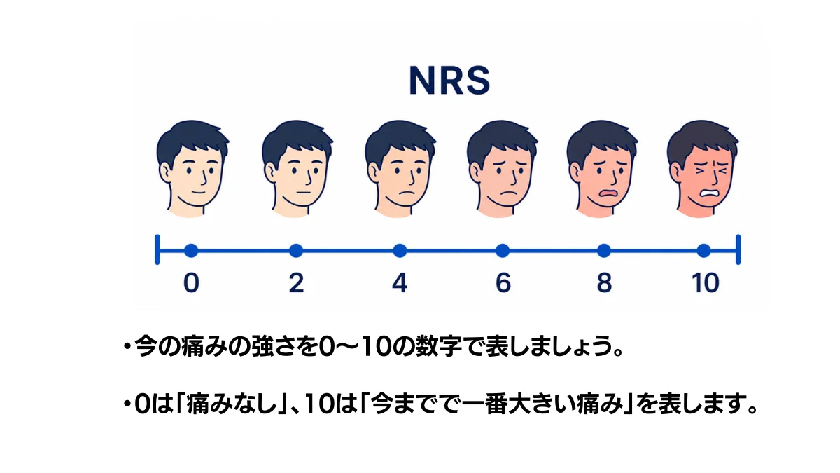 自主トレ素材庫Plusに収録されている「痛みの数値評価スケール（NRS）」の実物スライド