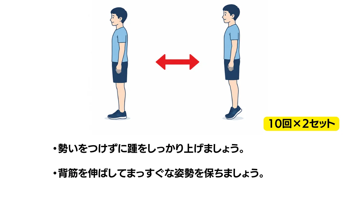 自主トレ素材庫Plusに収録されている「立位でのかかと上げ」の実物スライド