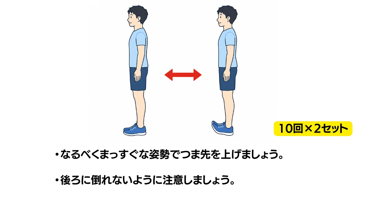 自主トレ素材庫Plusに収録されている「立位でのつま先上げ」の実物スライド