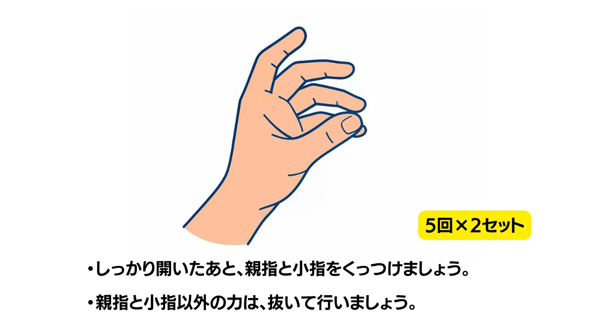 自主トレ素材庫Plusに収録されている「母指と小指の対立」の実物スライド