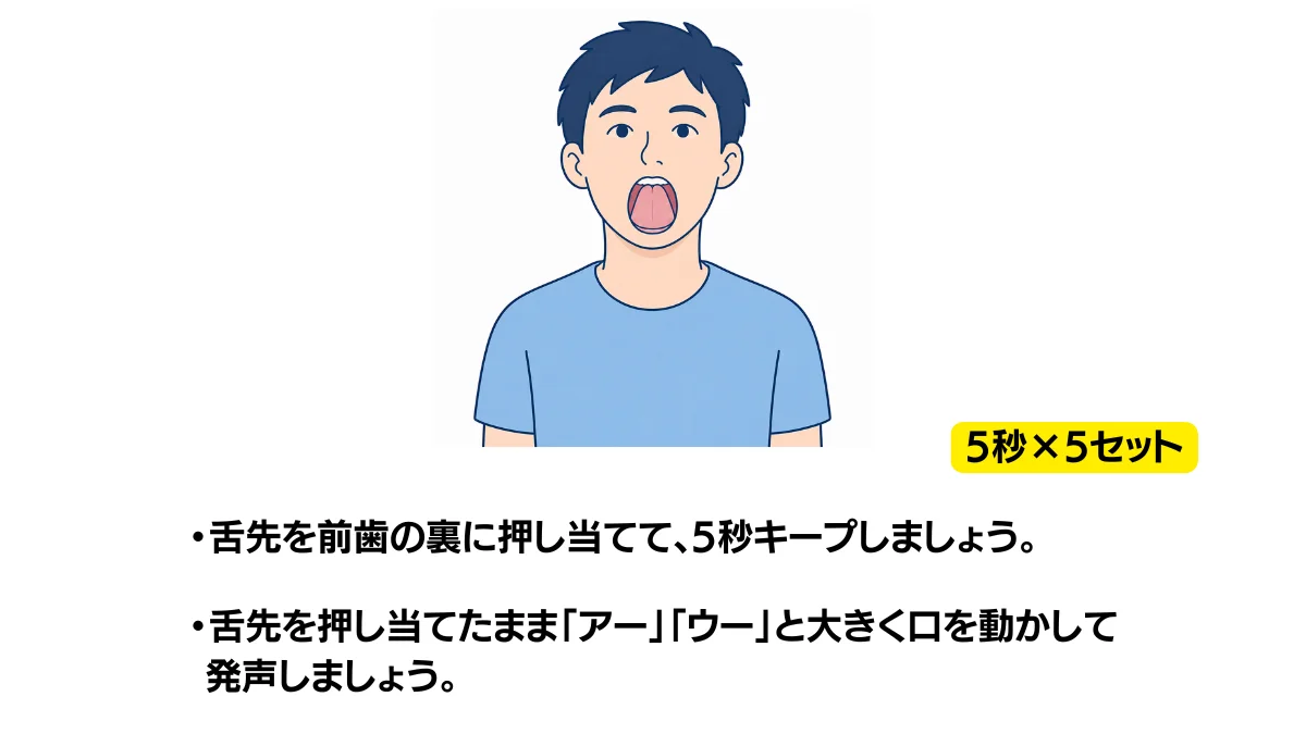 自主トレ素材庫Plusに収録されている「舌先を上の前歯の裏につける運動」の実物スライド